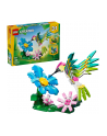 LEGO Creator 3w1 31384 - Dzikie zwierzęta: Kolorowy koliber - nr 2