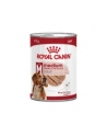 ROYAL CANIN SHN Medium Adult Loaf Can 410g - nr 1