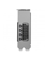 pny technologies PNY RTX PRO 2000 Blackwell VCNRTXPRO2000-PB - nr 10