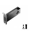pny technologies PNY RTX PRO 2000 Blackwell VCNRTXPRO2000-PB - nr 20