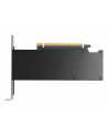 pny technologies PNY RTX PRO 2000 Blackwell VCNRTXPRO2000-PB - nr 2
