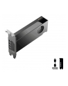 pny technologies PNY RTX PRO 2000 Blackwell VCNRTXPRO2000-PB - nr 5