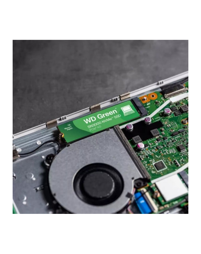 SSD WD Green SN3000 1TB NVMe WDS100T4G0E główny