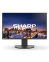 Sharp MultiSync EA241F - nr 4