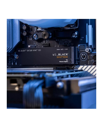 sandisk WD Black nr 1