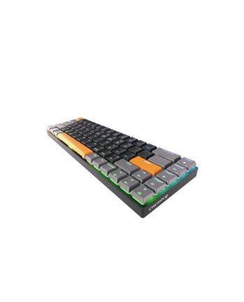 CHERRY MX MX-LP 2.1 nr 1