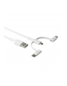 dbramante1928 DBRAMANTE Kabel rechrg-3in1Cable-USBAtoUSB-A C'Lightn-W - nr 3