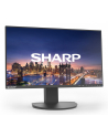 nec Sharp MultiSync EA242F - nr 1