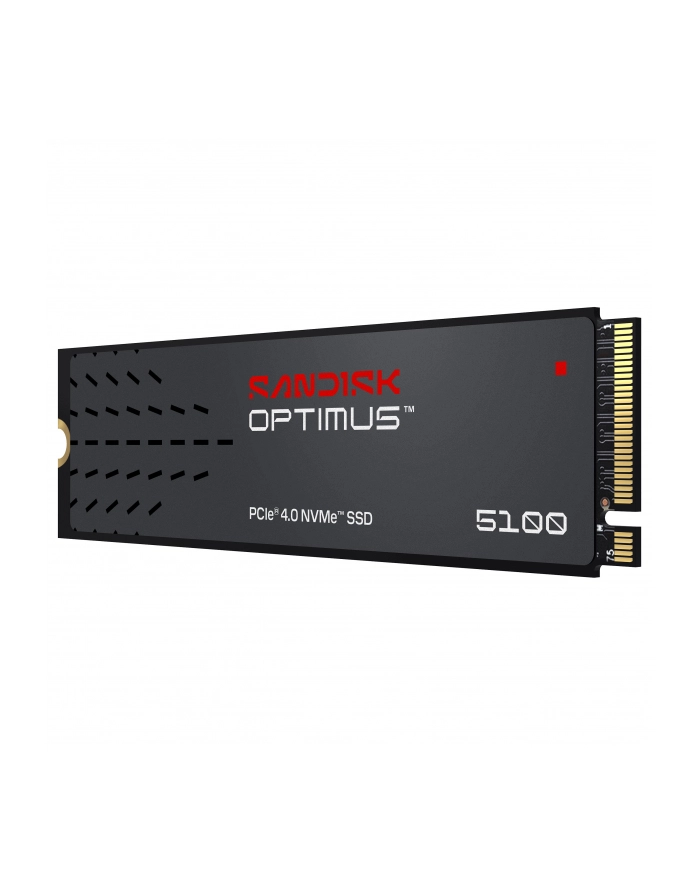SanDisk główny