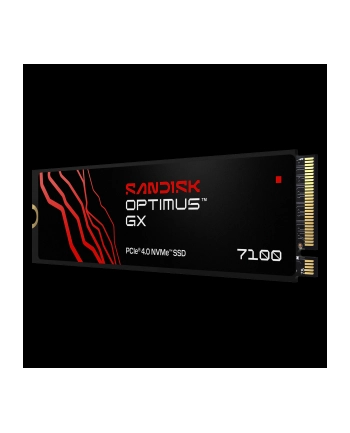 SanDisk