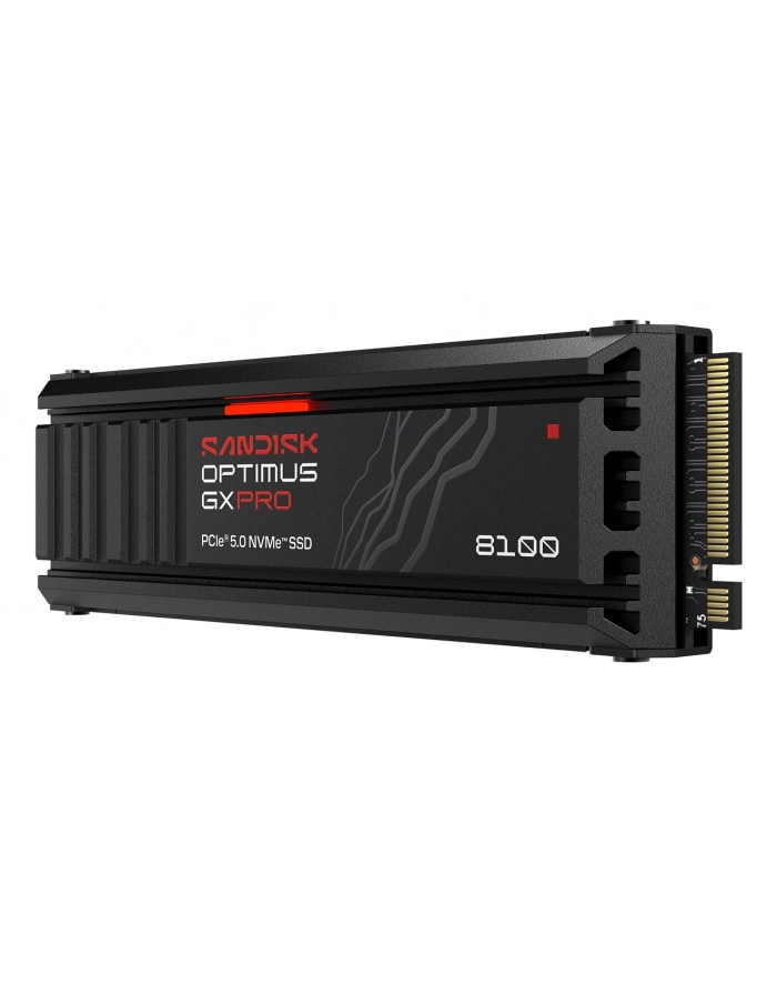 SanDisk główny