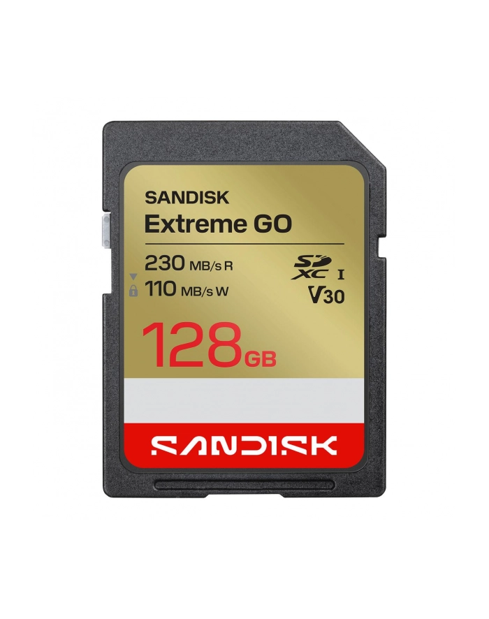 SanDisk główny