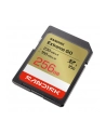 SanDisk - nr 2