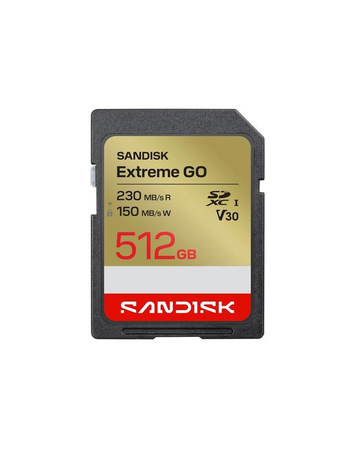 SanDisk główny