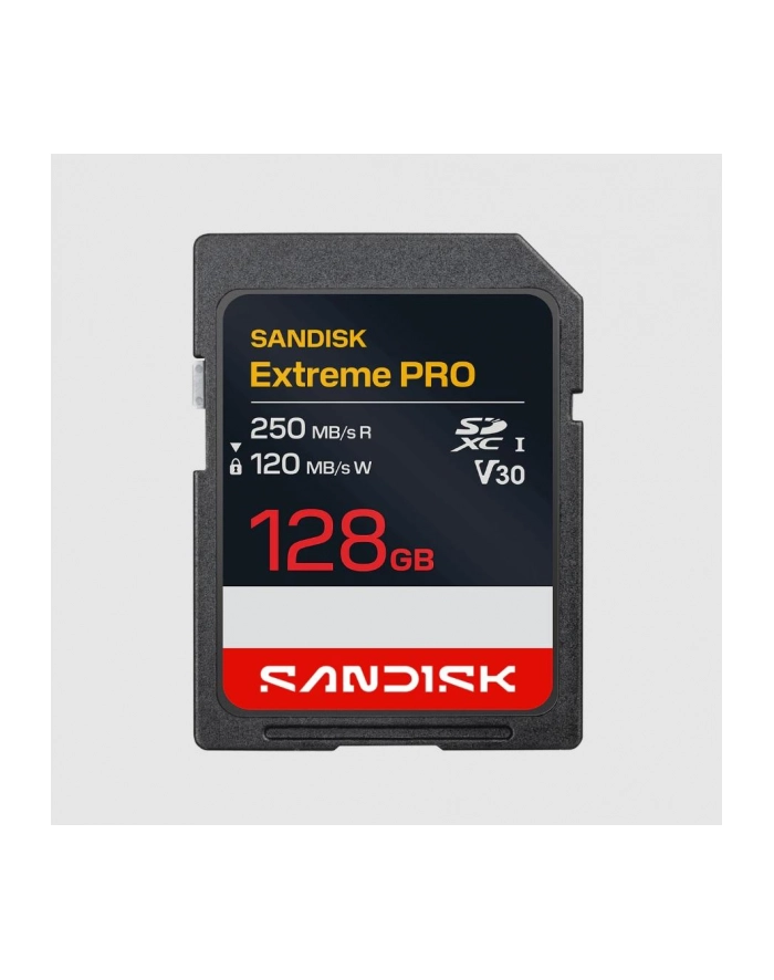 SanDisk główny