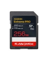 SanDisk - nr 1