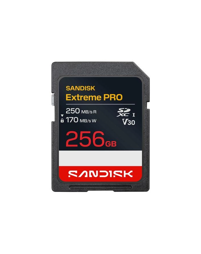 SanDisk główny
