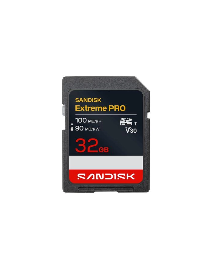 SanDisk główny