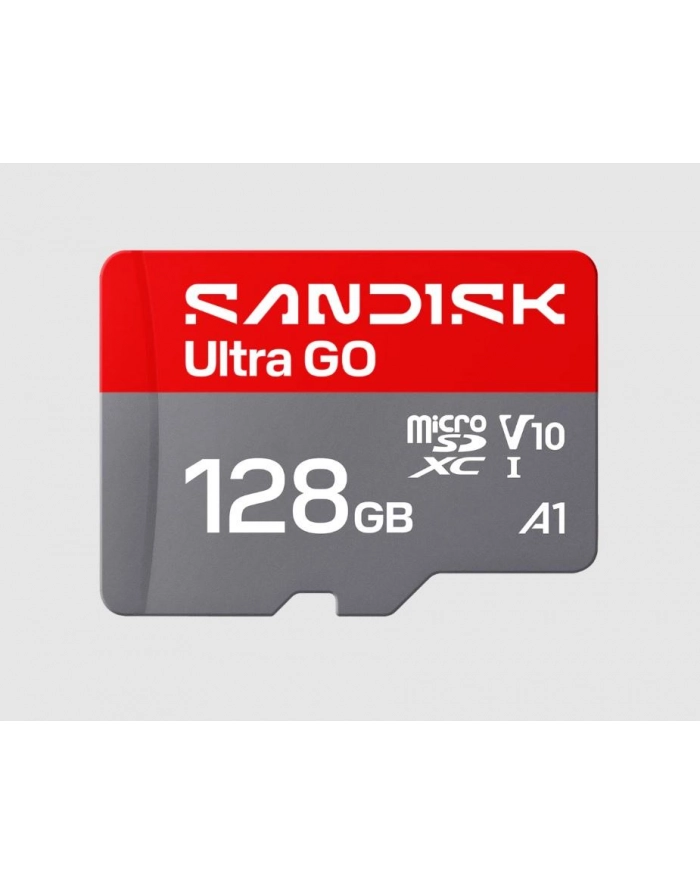 SanDisk główny
