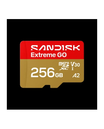 SanDisk