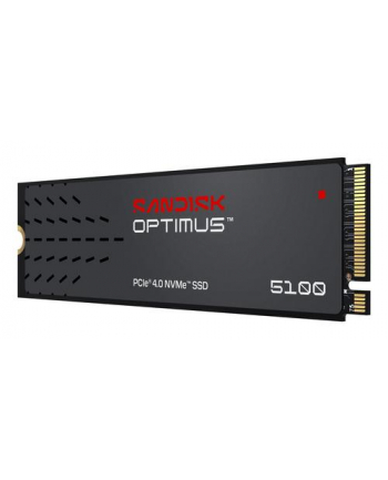 SanDisk nr 1