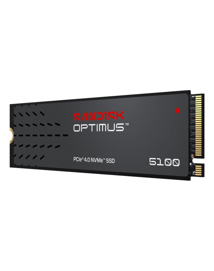 SanDisk główny