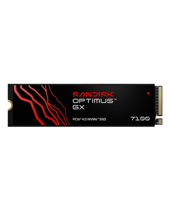 SanDisk nr 2