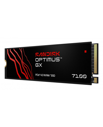SanDisk nr 1