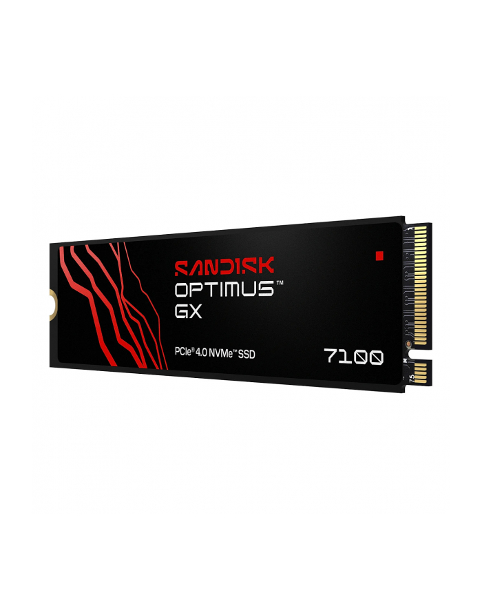 SanDisk główny