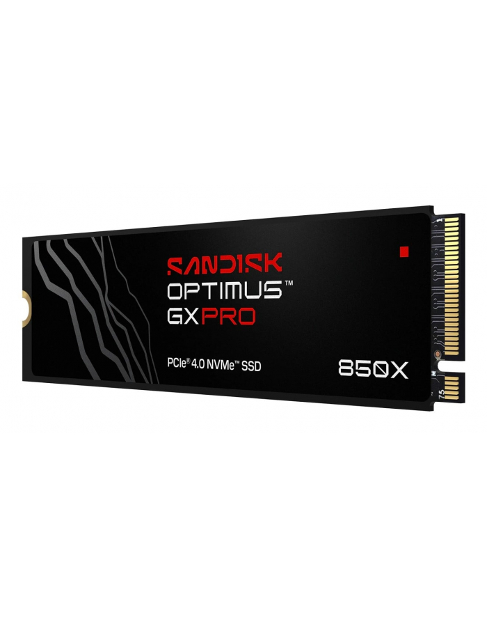 SanDisk główny