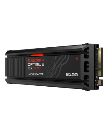 SanDisk nr 1