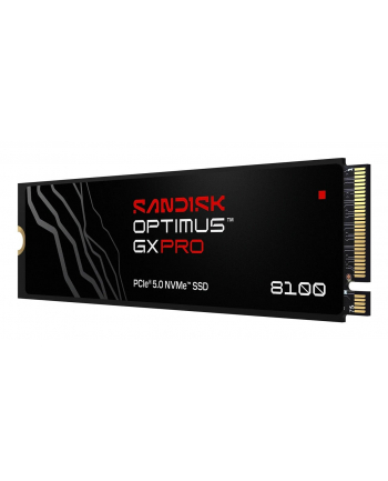 SanDisk nr 2