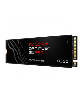 SanDisk nr 1