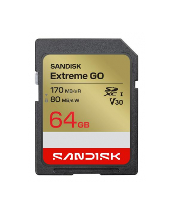 SanDisk