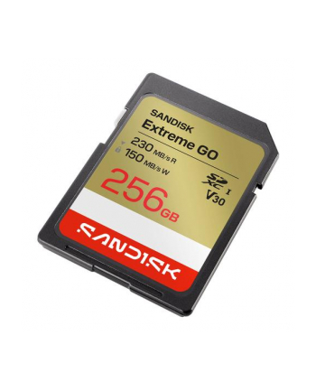 SanDisk