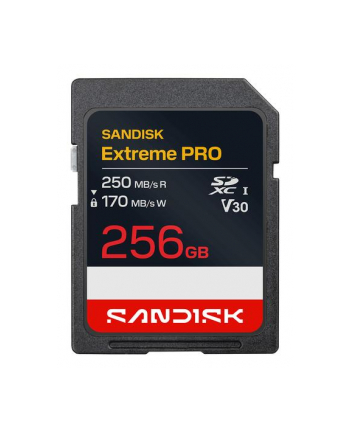 SanDisk
