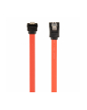 gembird Kabel do dysków SATA DATA III (6GB/S) 30cm metalowe zatrzaski kątowy - nr 1