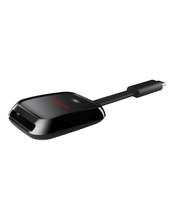 SanDisk główny