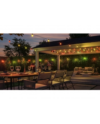 Philips Hue Hue Festavia Globe Outdoor String Lights, 14m Extension | 30 W