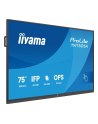 iiyama Monitor 75 '' TN7505A-B1AG IPS,4K,40pkt,500cd,nonOS,1200:1,5ms,    DeepContrast-IR+, 1xVGA,2xHDMI,DP,USB-C(PD65W),2xRJ45,2x20W,PiP,PbP,UCHWYT ŚCIENN - nr 28