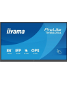 iiyama Monitor 86 '' TN8605A-B1AG IPS,4K,40pkt,500cd,nonOS,1200:1,5ms,    DeepContrast-IR+, 1xVGA,2xHDMI,DP,USB-C(PD65W),2xRJ45,2x20W,PiP,PbP,UCHWYT ŚCIENN - nr 22