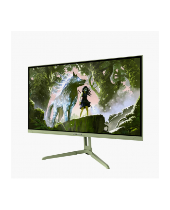 Arozzi | Nova | 24 '' | IPS | FHD | 16:9 | 200 Hz | 1 ms | 1920 x 1080 pixels | 300 cd/m² | HDMI ports quantity 1 | Forest Green