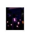 Philips Hue Festavia Globe String Lights for Outdoor Use, 14 m | 30 W | Bluetooth, Zigbee - nr 7