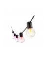 Philips Hue Hue Festavia Globe Outdoor String Lights, 14m Extension | 30 W - nr 11