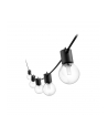 Philips Hue Hue Festavia Globe Outdoor String Lights, 14m Extension | 30 W - nr 12