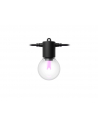 Philips Hue Hue Festavia Globe Outdoor String Lights, 14m Extension | 30 W - nr 4