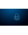 kingston Pendrive 32GB IronKey Locker+50 G2 AES-256 FIPS 197 - nr 19