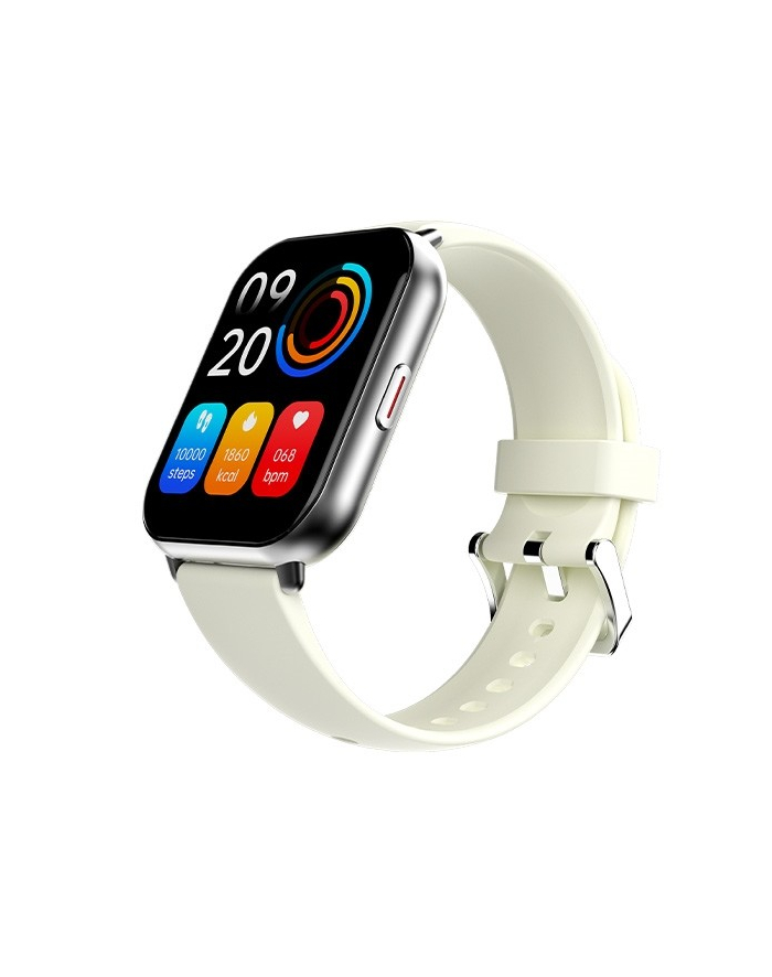 hifuture Smartwatch Zone 2 szary główny