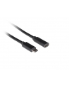 lanberg Przedłużacz USB-C M/F 3.1 1.5m czarny - nr 3