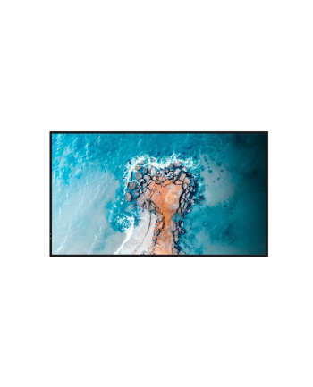 hisense Monitor LFD 32DM66D 32 cale Full HD Digital Signage Display 24/7